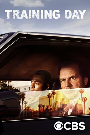 Тренировочный день - Tehrangeles